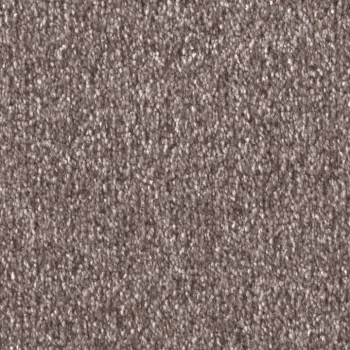 Draufsicht auf Vorwerk Celina 1Q18 rost Teppichboden mit Preisschild 89,91 €/m²